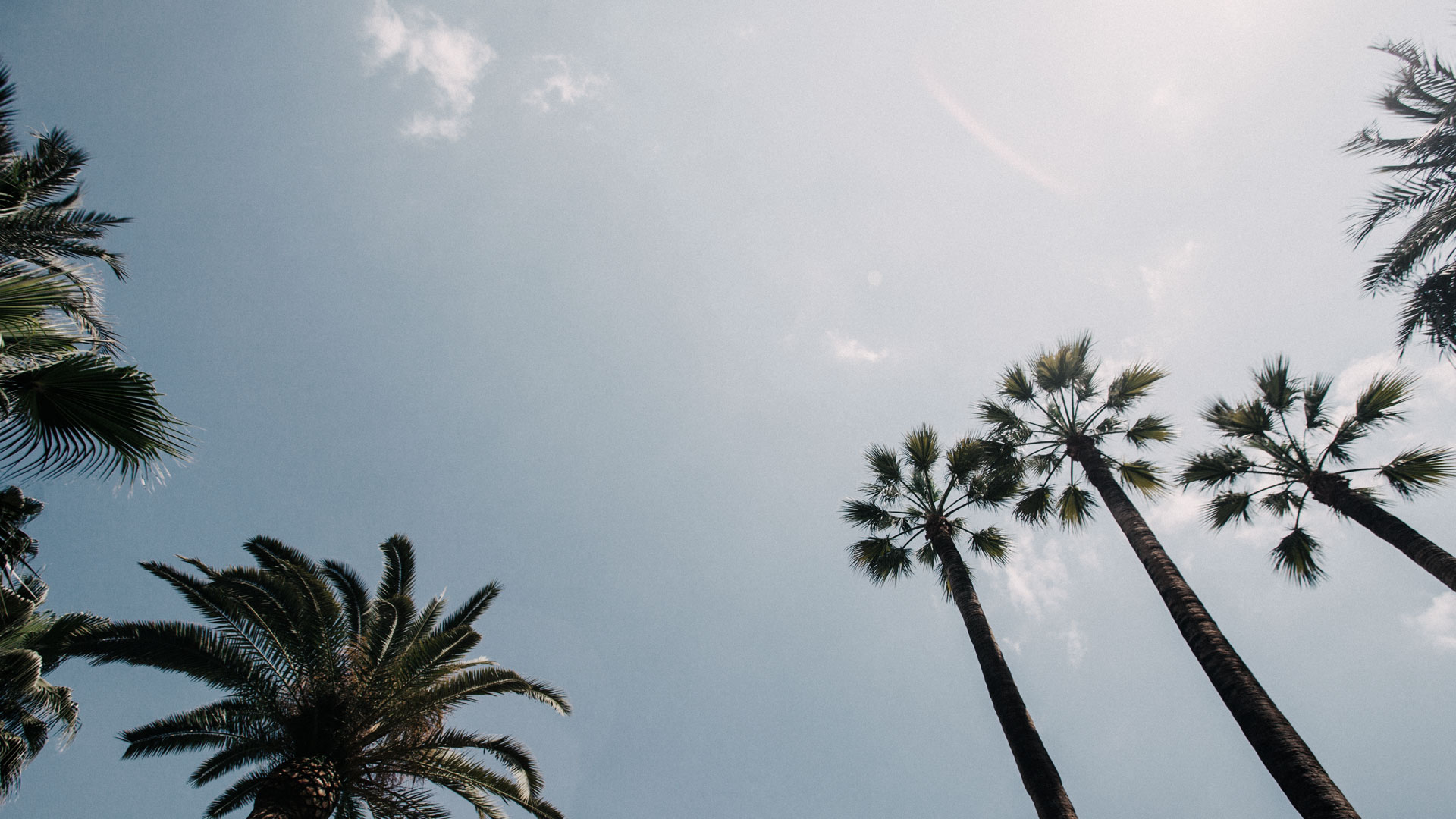 Venice, CA